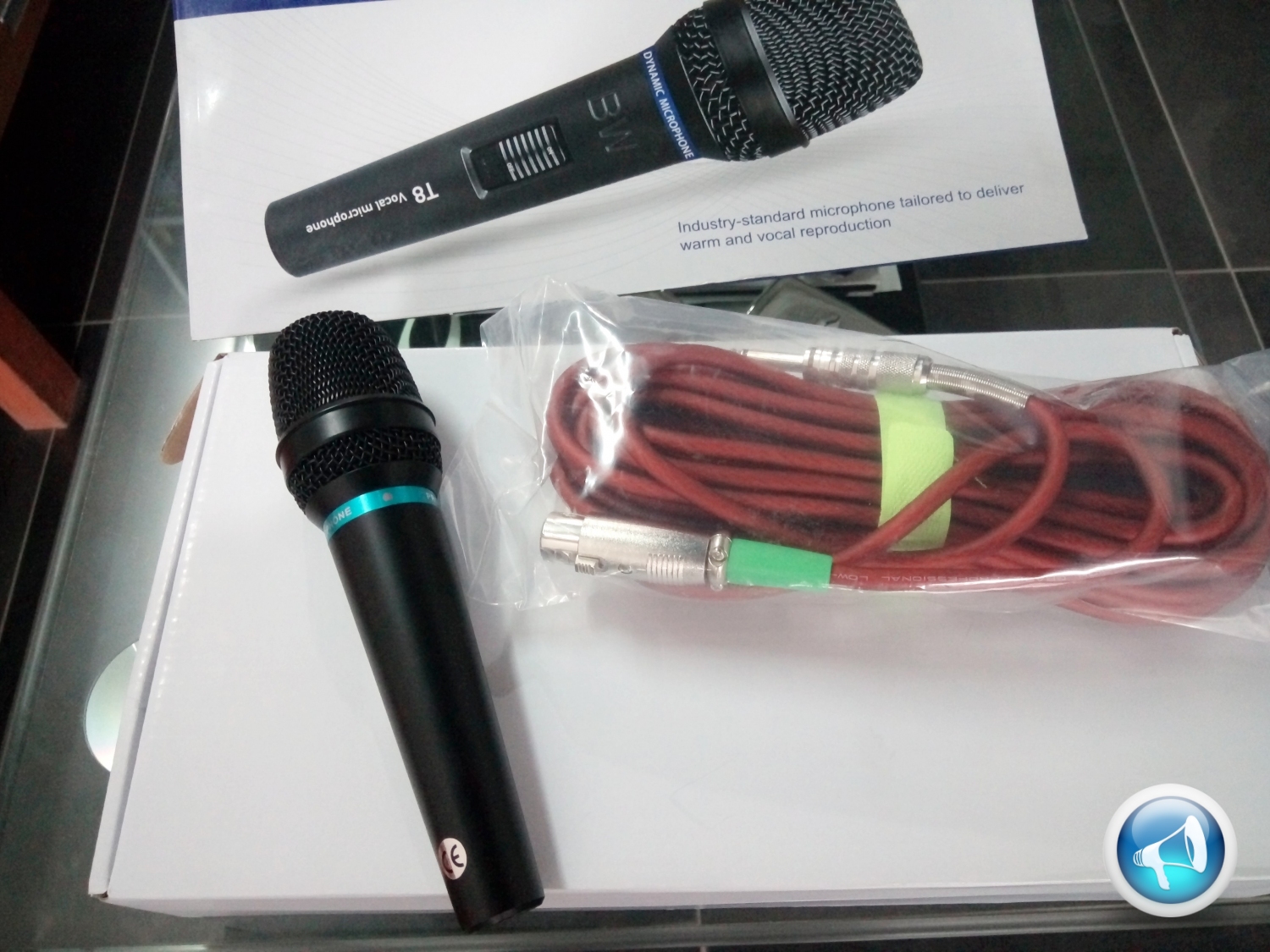 micro karaoke BW T8